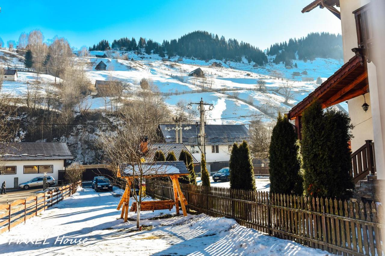 Pixxel House Otel Moeciu De Sus Dış mekan fotoğraf